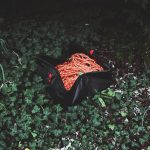 35dc99 bcfe6b6384c543b5bfeff5f6658a2ff2mv2 d 2000 2000 s 2